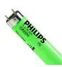 Philips MASTER TL-D 36W - Grön | 120cm