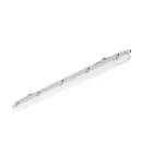 Philips LED Allmänbruksarmatur Vattentät Ledinaire WT065C 23/42W 2900/4800lm - 840 Kallvit | 120cm